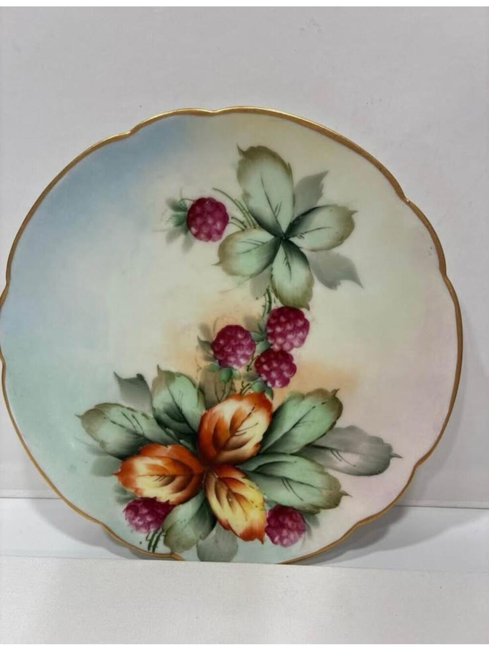 Vintage Bavaria Hand Painted Floral Berry Decorative Plate